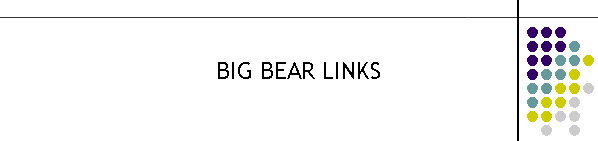 BIG BEAR LINKS