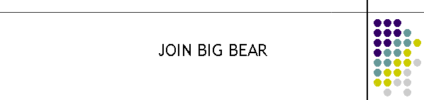 JOIN BIG BEAR