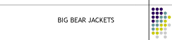 BIG BEAR JACKETS